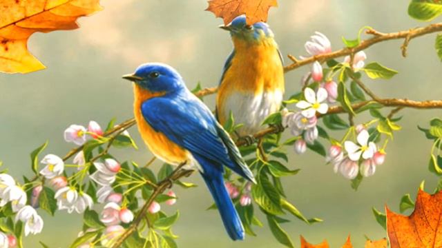 Canto primaveral en Haiku смотреть онлайн