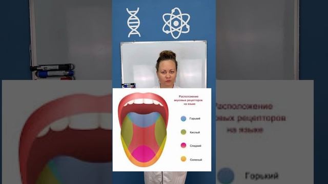 Как мы чувствуем вкус? смотреть онлайн