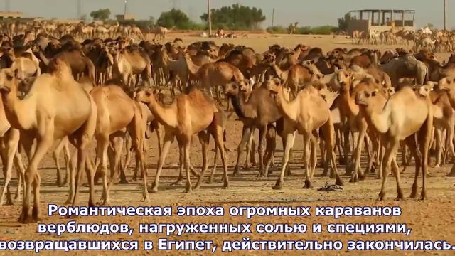 Путешествуй! Южный Судан продолжение смотреть онлайн