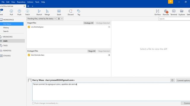 Curso Git - SourceTree | Como Cambiar El Proyecto A Un Commit En Especifico Anterior, Del Histórico смотреть онлайн