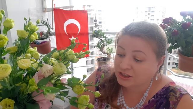 АНОНИМНЫЙ ВОПРОС: Еще один собиратель гаремов смотреть онлайн