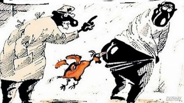 Дикая Природа в Городе