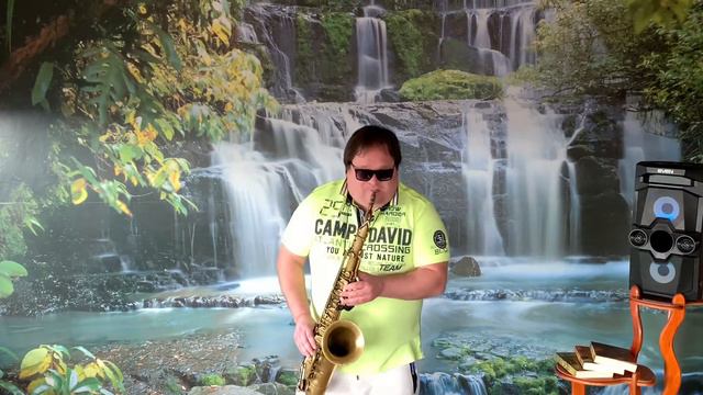 #25 «Fields Of Gold”Антон Румянцев Selmer Mark 6 1958 Francois Louis Mouthpiece New Metal