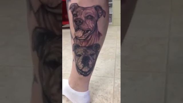 Pitbull tattoos смотреть онлайн