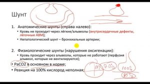 Физиология. Глава 5. Лёгкие. Гипоксемия. Вентиляционно-перфузионное соотношение