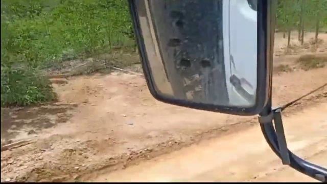 Truk logging kalimantan kembali beraktivitas смотреть онлайн