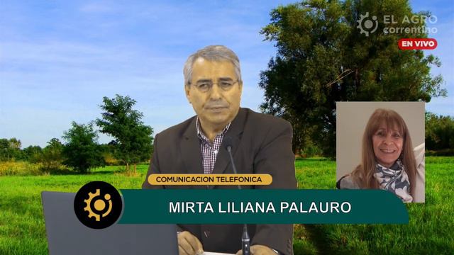 🐮🎬AGRO CORRENTINO TV - Con Mirta Liliana Palauro (Ex secretaria del Dr. Jorge A. Mastrocesare) смотреть онлайн