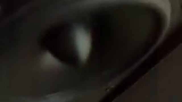 MICROLAB SOLO -7C BASS TEST смотреть онлайн