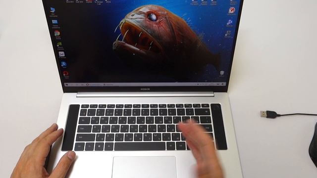 Ноутбук Honor MagicBook 16 Pro или MagicBook 15, лучшие ноутбуки, но со своими проблемами.