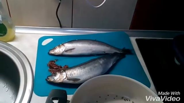 Магические ритуалы