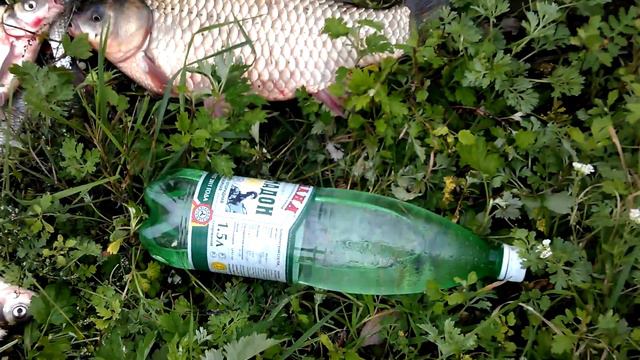 Карась москворецкий смотреть онлайн