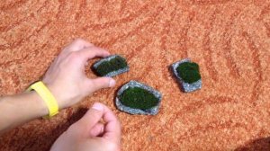 Пересадка уличного мха в аквариум.  Мох в аквариуме и что с ним будет