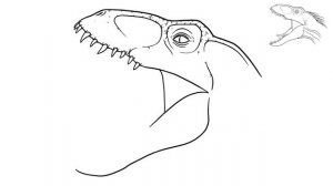 How to Draw Indoraptor Head dinosaur from Jurassic Park and World Step By Step