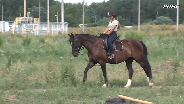 Соревнования по хоббихорсингу прошли в детском конно-досуговом центре «Лучик добра» г.о. Луховицы смотреть онлайн