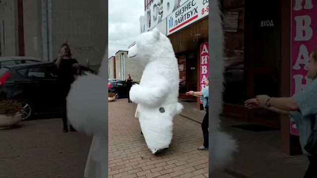 Поздравление белого большого медведя с днем рождения. Оригинальное поздравление. смотреть онлайн