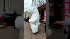 Поздравление белого большого медведя с днем рождения. Оригинальное поздравление.