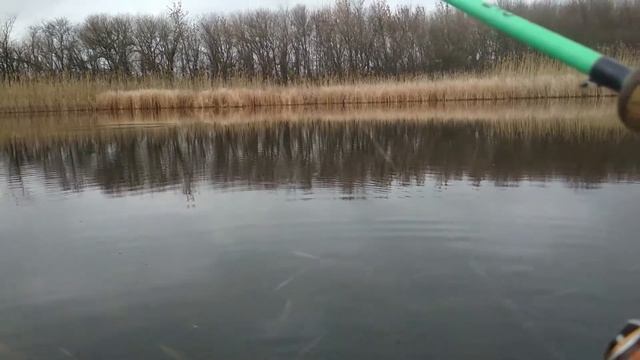 Ловим щуку на небольшой,мелкой речке. Секретное место, с большим обилием рыбы!!! Щука в январе смотреть онлайн