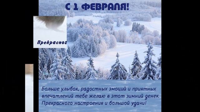 А за окном идет Февраль! смотреть онлайн