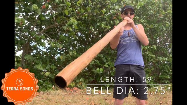 Agave Didgeridoo - #258 "Cella" - Crystal Infused - Terra Sonos смотреть онлайн