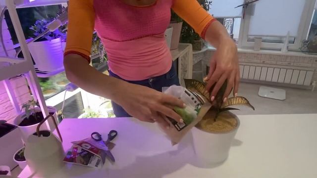 Строительные Трюки