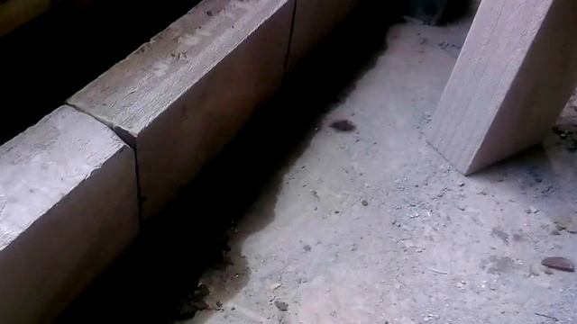 22.04.2016 жк по ул. Мещерского г. Архангельск смотреть онлайн