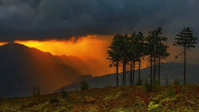 Астрология Божественной Матери, ч. 38. Шестой подвиг Геракла смотреть онлайн