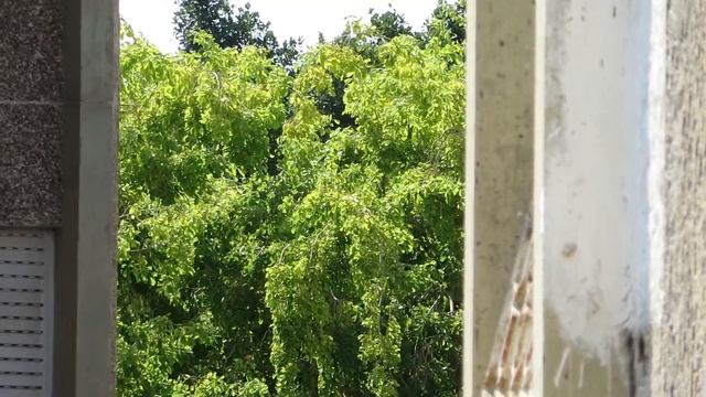 Canon PowerShot SX280 HS X20 Zoom TEST смотреть онлайн