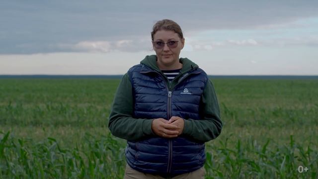 Применение фосфогипса для восстановления почвы смотреть онлайн