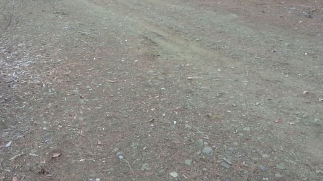 Тест сравнение XF steel 0.52мм против Gemeni 0.51мм на МР 155 смотреть онлайн