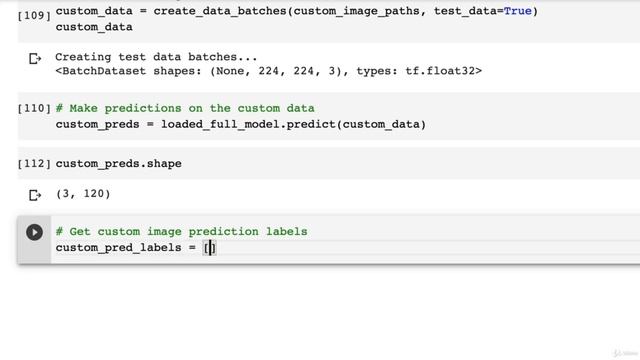 14.41 Making Predictions On Our Images смотреть онлайн