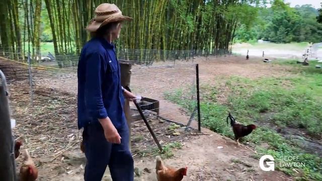 How Grazing Sequences—Goats to Horses to Cattle to Sheep—Work смотреть онлайн