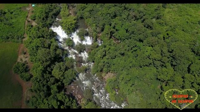 Мы родились в Сибири//Медведь//Обзор влогов смотреть онлайн