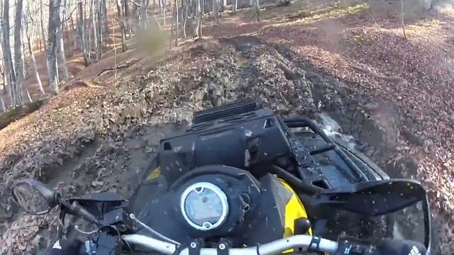 Квадрики Крым