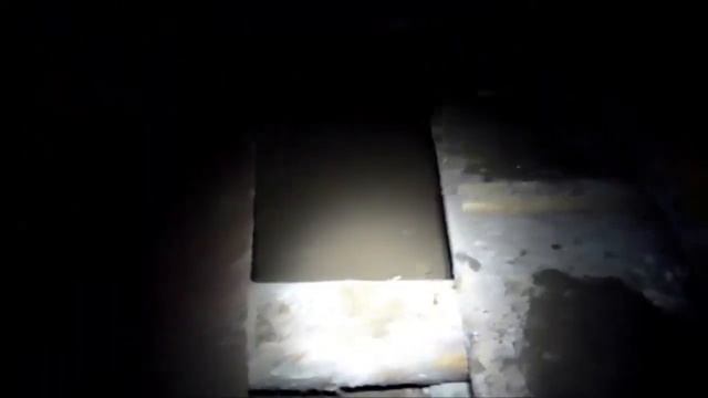 Шурф магазина СССР. 88 монет с квадратного метра!