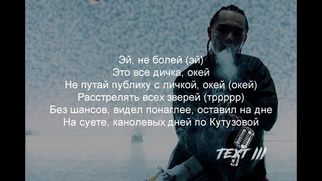 Truwer- "Дичка" (Текст трэка) смотреть онлайн