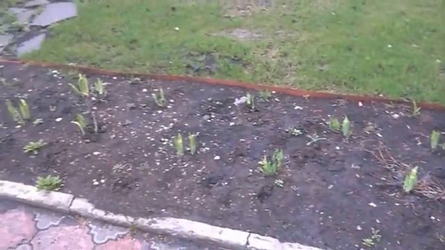 2016 часть 3.1 Храм  Самарских святых.Вербное воскресение..Подготовка к Пасхе.