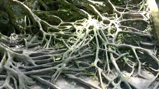 Goa Gajah - Elephant Cave ❤ Ubud Bali - HD смотреть онлайн