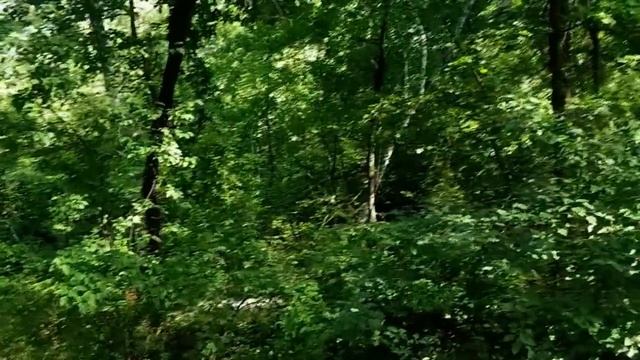 САМВЕЛ АДАМЯН \ НАДЯ ОТРИЦАЕТ ЧТО ХОЧЕТ У ПОСТЕLЬ К САМВЕЛУ. У ЗИНЫ Ж БОЛЬШЕ НАДЬКИНОЙ смотреть онлайн