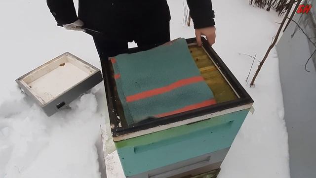 как проходит зимовка на канди, не трогайте пчел зимой, зимовка пчел на улице смотреть онлайн