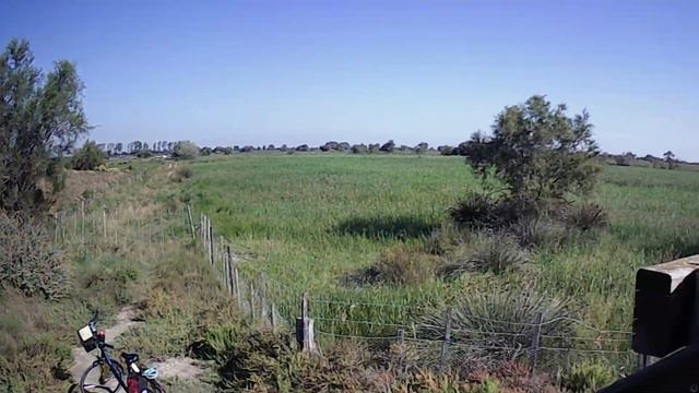 Arles день 4 . Поездка в заповедник Camargue. Центр города Arles. смотреть онлайн
