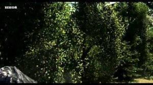 BeamNG.Drive Mod : BMW M3 E30 & Stig Driver (Crash test)