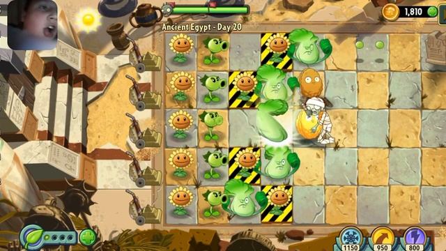 играю в растение против зомби 2 и растения против зомби 1 прохожу мини игры в растение против зомби смотреть онлайн