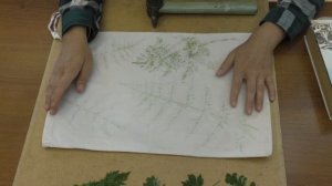 Мастер класс «Экопринт на ткани своими руками».