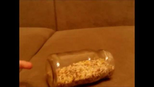 Зерносмесь для улиточек))) смотреть онлайн