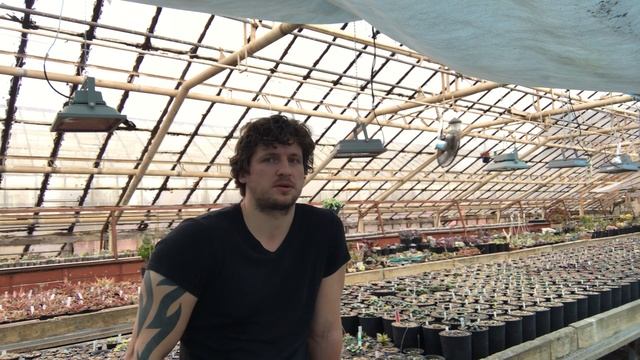 Почему я не продаю семена со своих растений. Где купить семена суккулентов немного философии