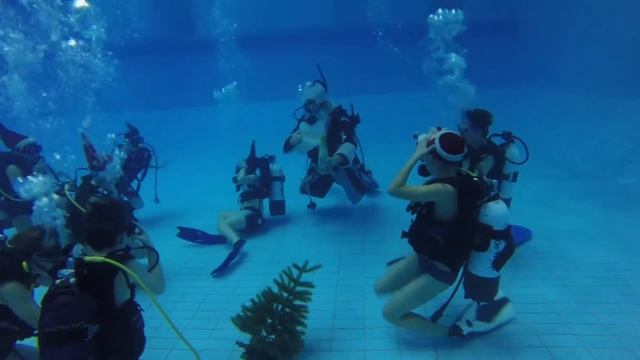 Новый год 2019 в детской дайвинг школе "Капитан Морган" смотреть онлайн