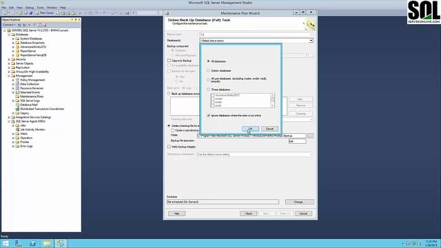 SQL Server Maintenance Plan смотреть онлайн
