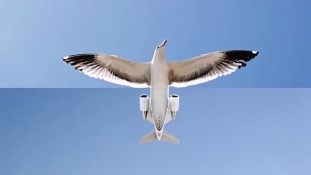Топ 10 самых необычных фото 2015 года. смотреть онлайн