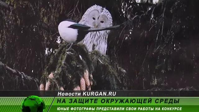 На защите окружающей среды смотреть онлайн