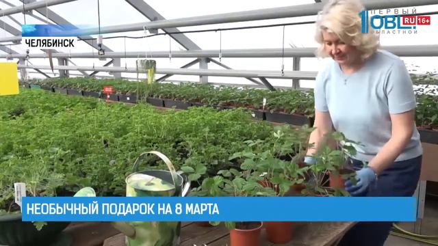 Необычный подарок на 8-е марта смотреть онлайн